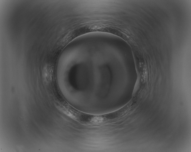 X0000062800227200512290257
