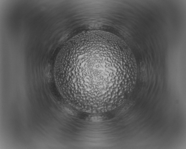 X0000062800228200512290257