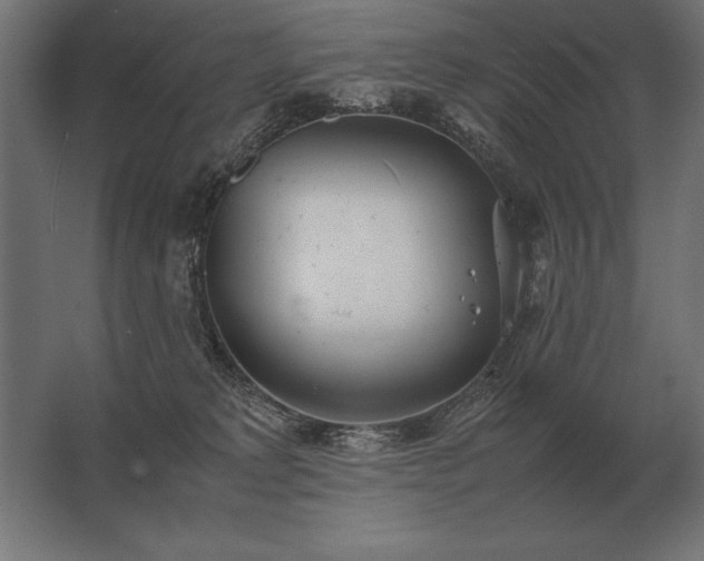 X0000062800229200512290257