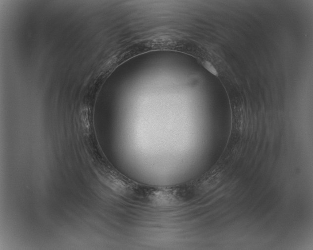 X0000062800232200512290256