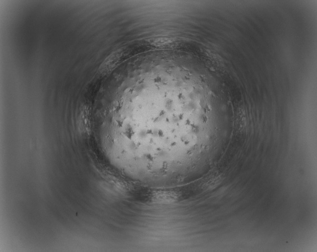 X0000062800234200512290256