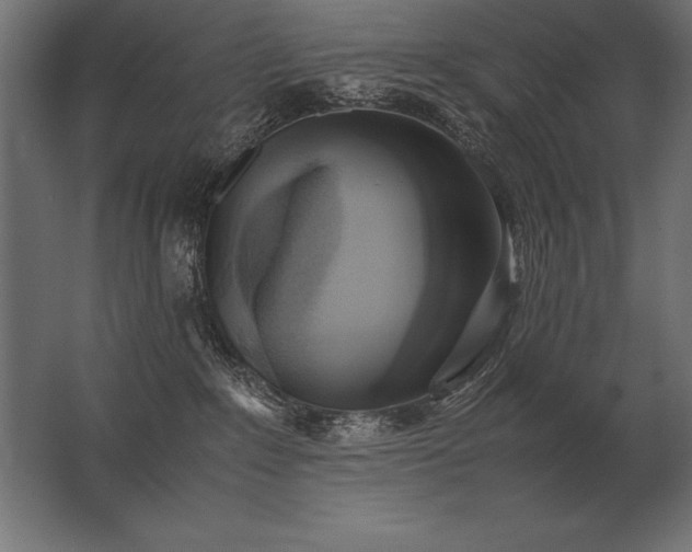 X0000062800235200512290256