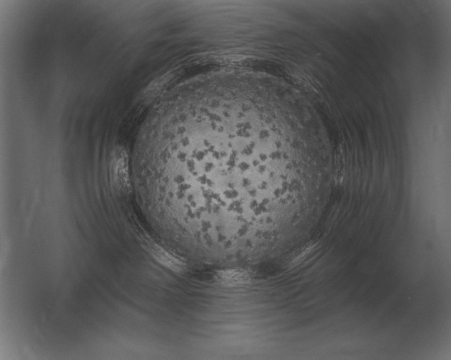 X0000062800238200512290256