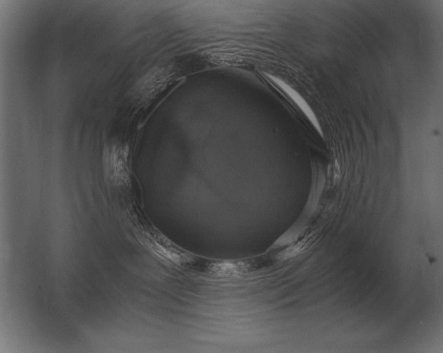 X0000062800239200512290256