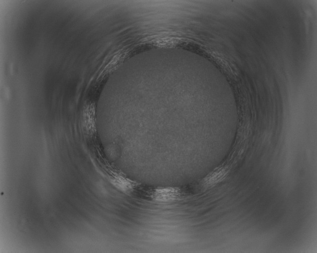 X0000062800240200512290256