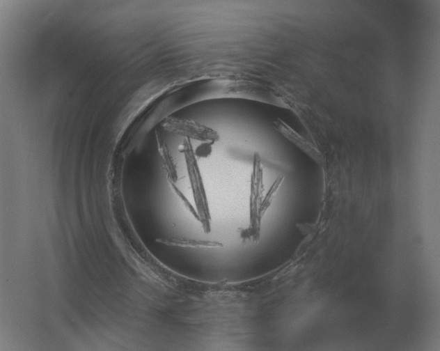 X0000062800242200512290256