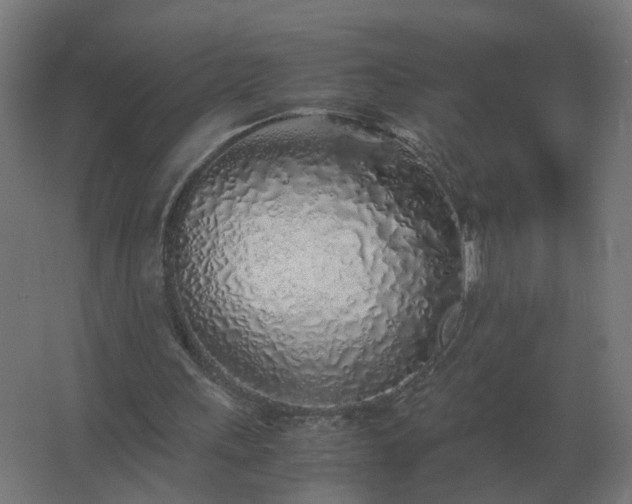 X0000062800243200512290256