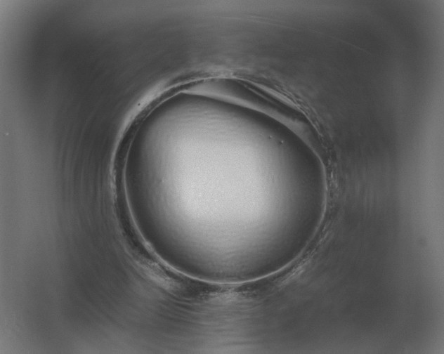 X0000062800246200512290256
