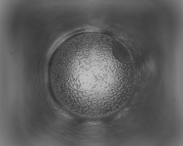 X0000062800247200512290256