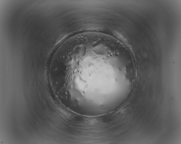 X0000062800249200512290256