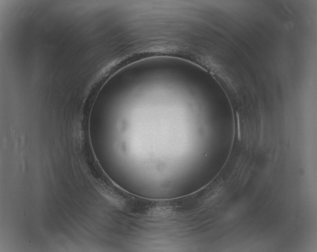 X0000062800252200512290256