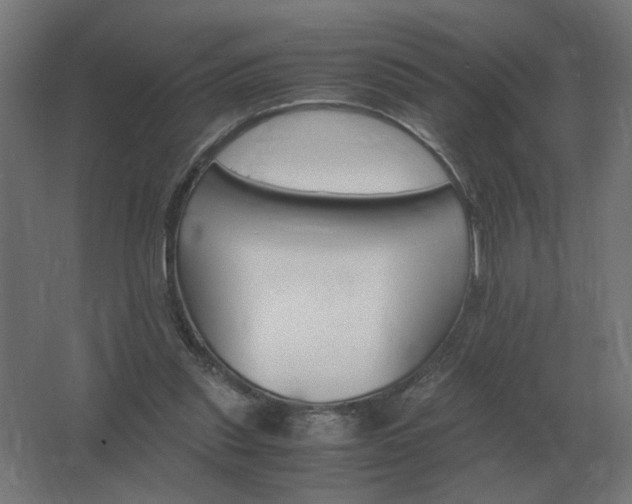 X0000062800253200512290256
