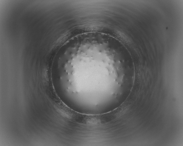 X0000062800258200512290256