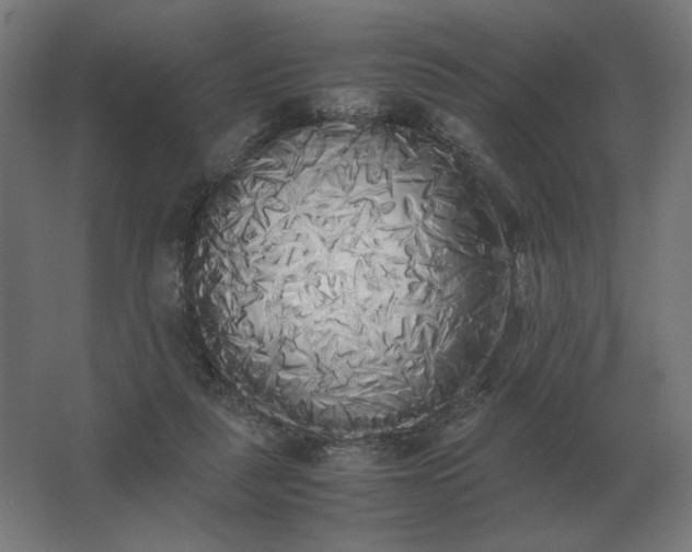 X0000062800259200512290256