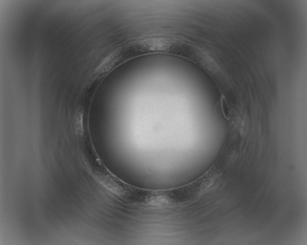 X0000062800262200512290256