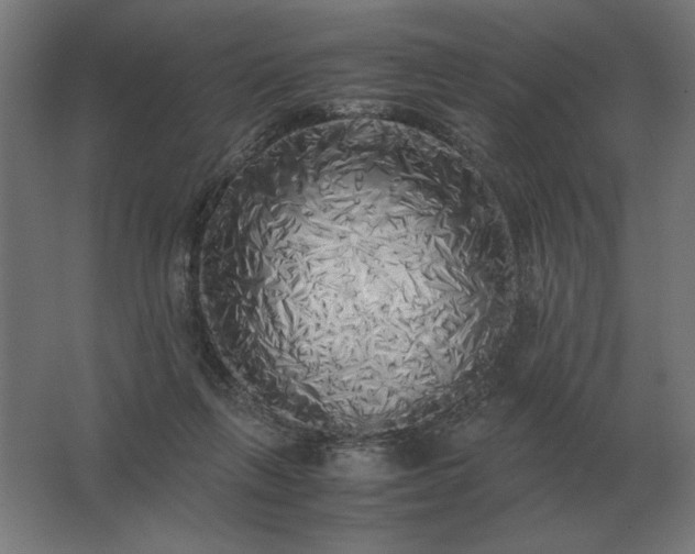 X0000062800263200512290256