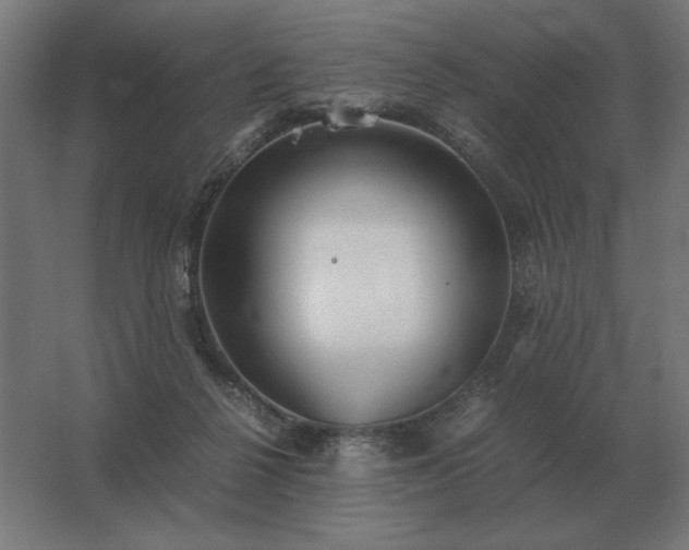 X0000062800264200512290256