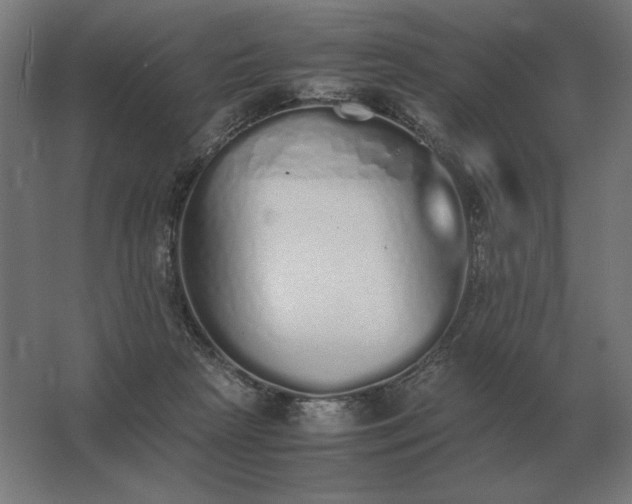 X0000062800265200512290256