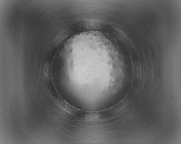 X0000062800266200512290256
