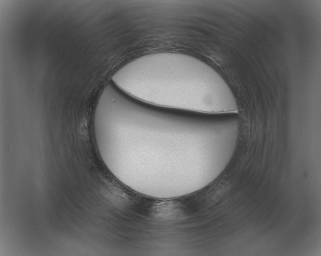 X0000062800269200512290256