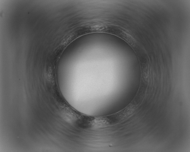 X0000062800270200512290256