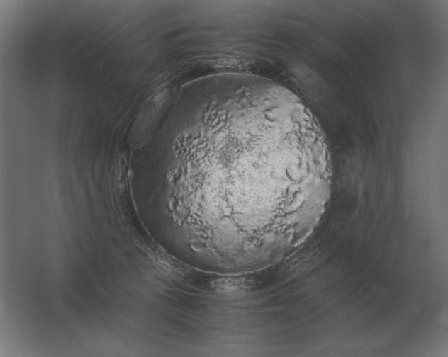 X0000062800273200512290256