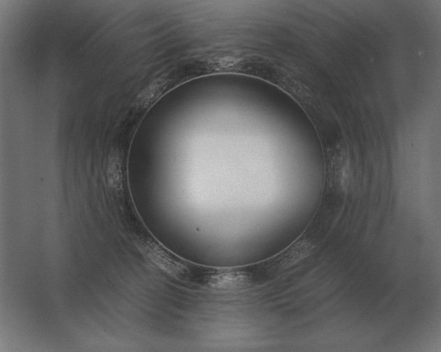 X0000062800274200512290256