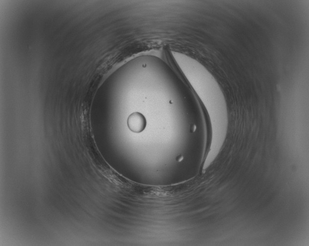 X0000062800276200512290256