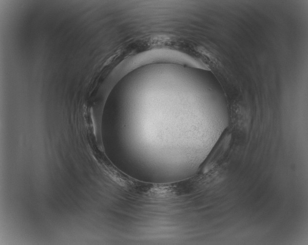 X0000062800280200512290256