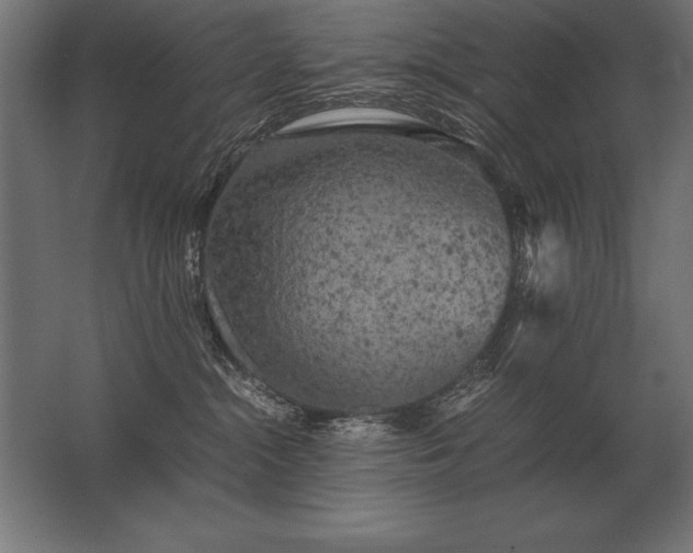X0000062800284200512290256