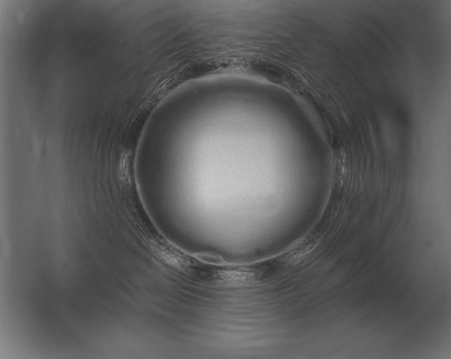 X0000062800286200512290256