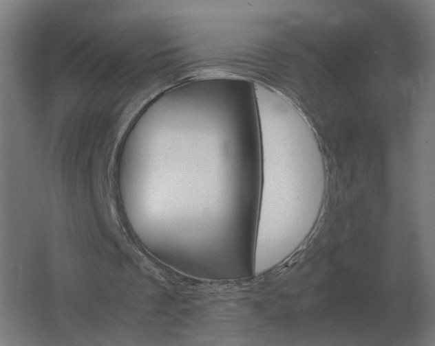 X0000062800289200512290256