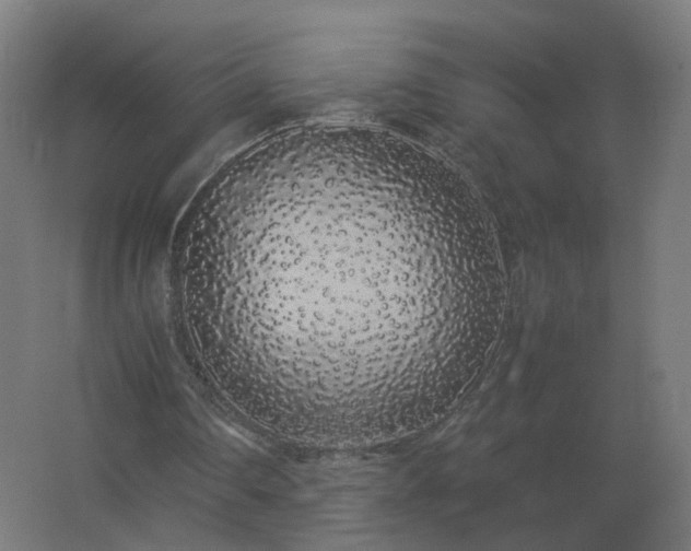 X0000062800290200512290256