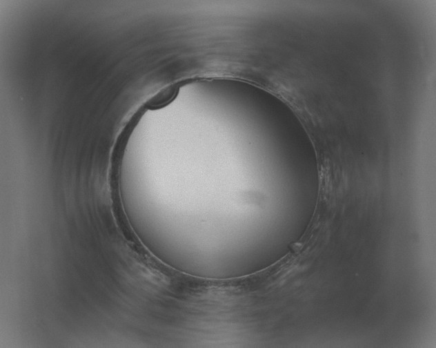 X0000062800292200512290255