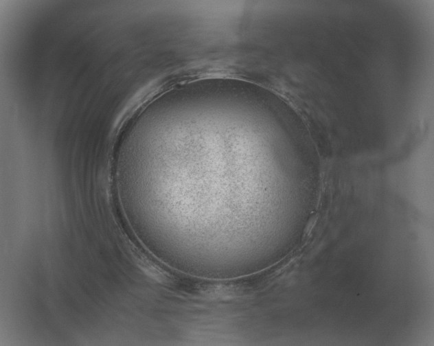 X0000062800293200512290255
