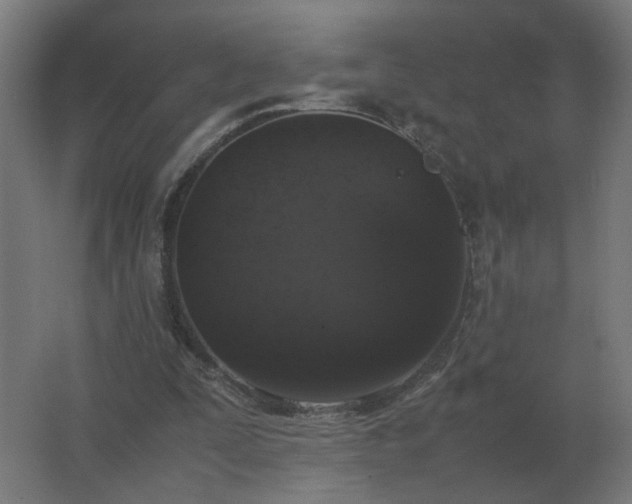 X0000062800295200512290255