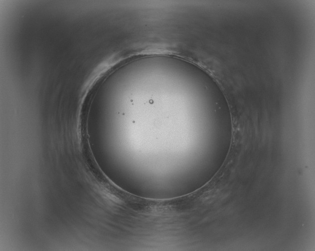 X0000062800296200512290255