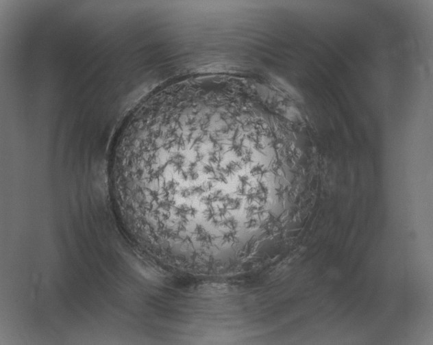 X0000062800298200512290255