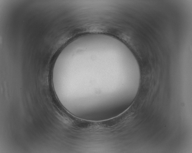X0000062800299200512290255