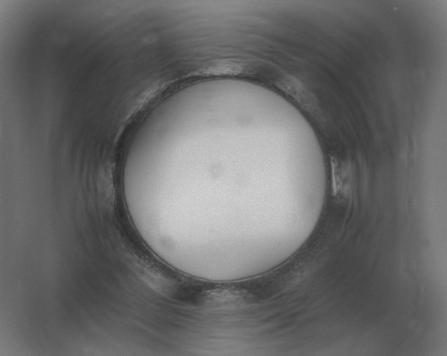 X0000062800300200512290255