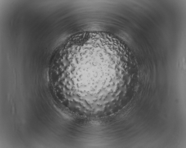 X0000062800302200512290255