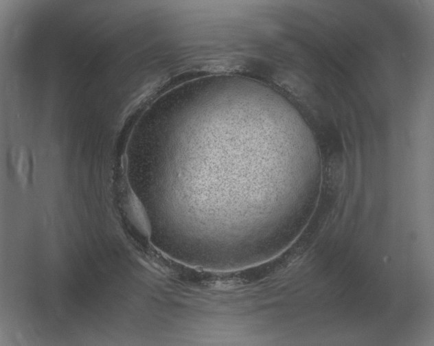X0000062800303200512290255