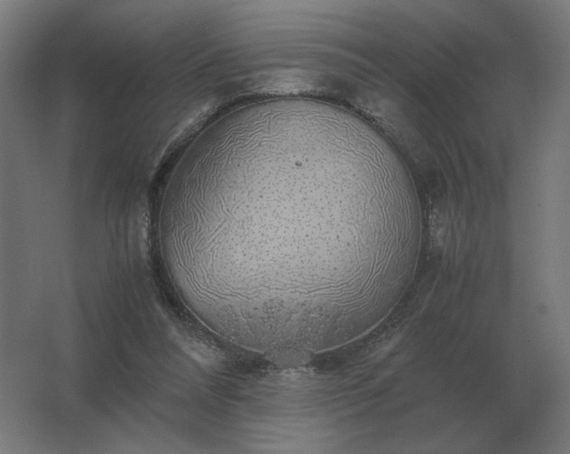 X0000062800304200512290255
