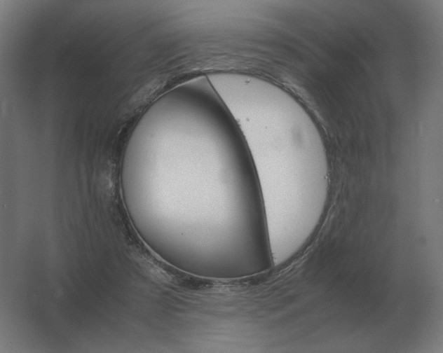 X0000062800305200512290255
