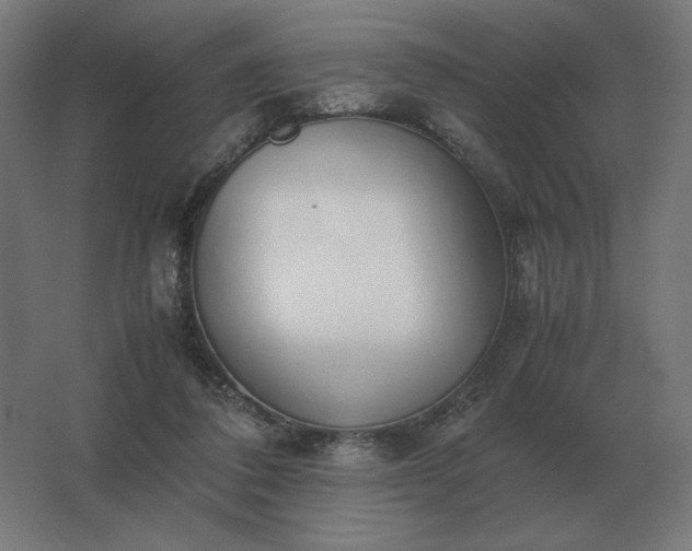 X0000062800308200512290255