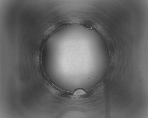 X0000062800309200512290255