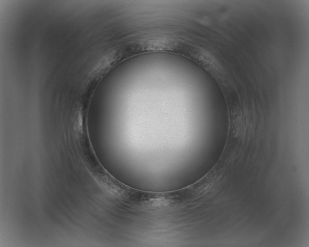X0000062800310200512290255