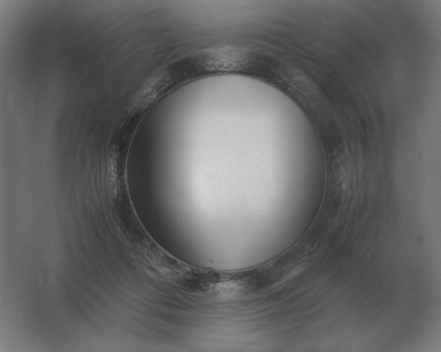 X0000062800312200512290255