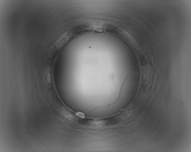 X0000062800313200512290255