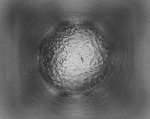 X0000062800314200512290255